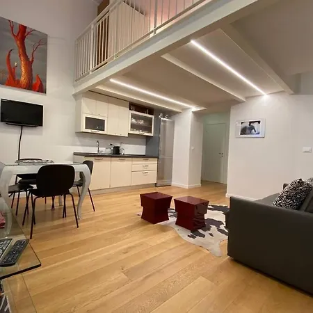 Loft Di Charme Nel Centro Di Torino